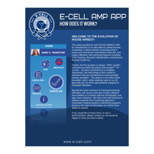 Flyer Design by EDesignN for E-cell,inc | Design: #19487578