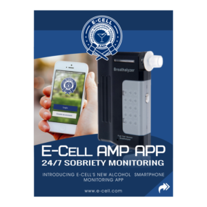 Flyer Design by EDesignN for E-cell,inc | Design: #19487579