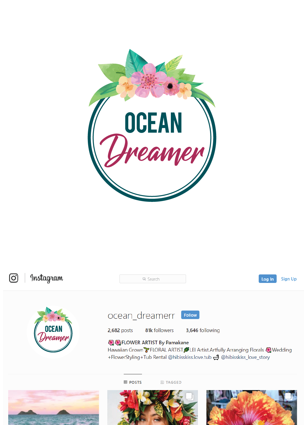 Logo Design by Wild Geek for Ocean Dreamer | Design #19429915