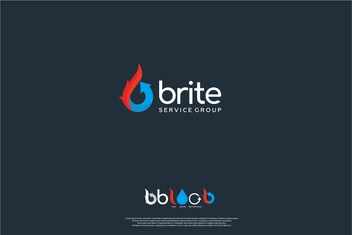 Logo Design by nusdofficial for this project | Design #19496486