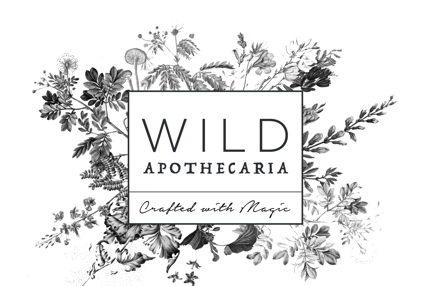 Diseño de Etiqueta por Bee &amp;amp;amp;amp;amp; Bumble para este proyecto | Diseño #19496213