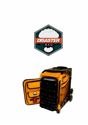 Logo Design by alok bhopatkar for Disaster Bag | Design: #2966100