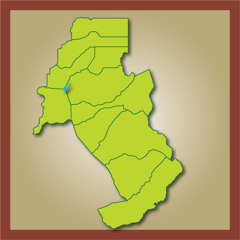 Vector Design by Kings Bishop Design for this project | Design #685331