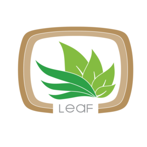 Logo Design by Zeliodas
