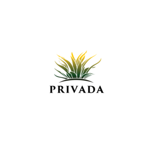 Logo-Design von PointGrfx für Credit Advisors | Design: #19456937
