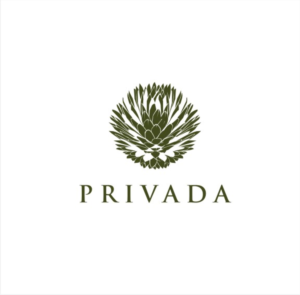 Logo-Design von nutu für Credit Advisors | Design: #19457239