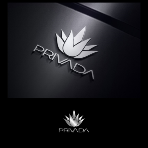 Logo Design by adie_78 for Credit Advisors | Design #19602454