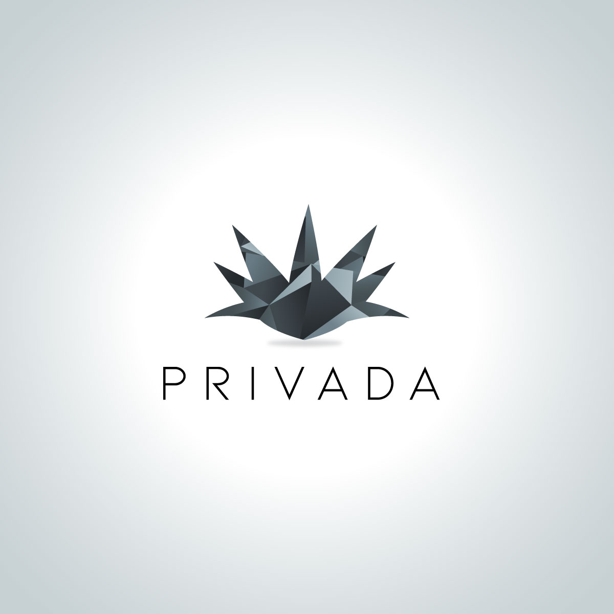 Logo-Design von **INCREDIBLEDESIGNERS** für Credit Advisors | Design #19493925