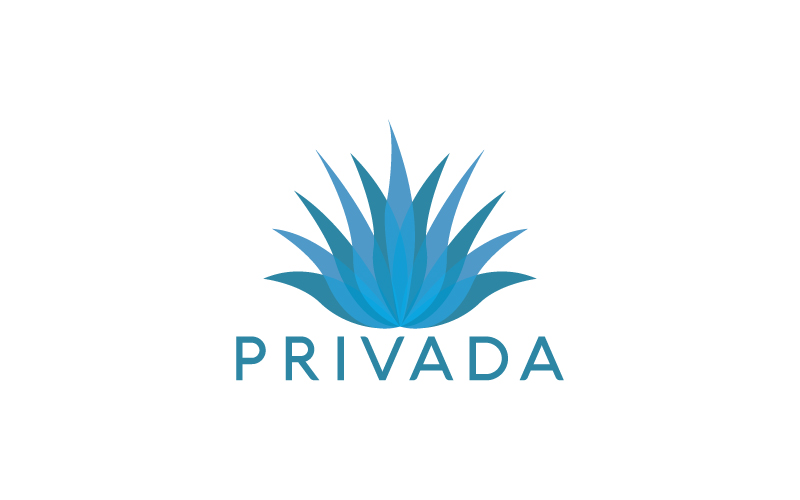 Design de Logo par ilovedesign1 pour Credit Advisors | Design #19457160