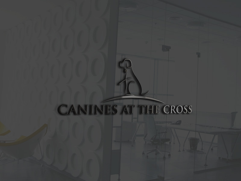 Logo Design by logoflow007 for Brand Ascent | Design #19467841