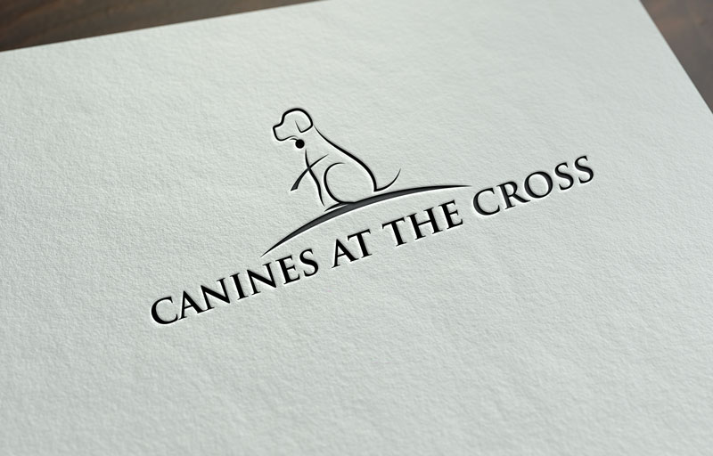 Logo Design by logoflow007 for Brand Ascent | Design #19467842