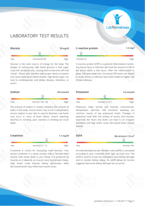 LabToWellness background design | Diseño Gráfico por SofiaDesignStudio