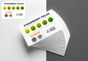 Design Graphique par Amduat Design pour ce projet | Design : #19488099