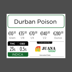 Diseño Gráfico por Jozbel para este proyecto | Diseño #19552292
