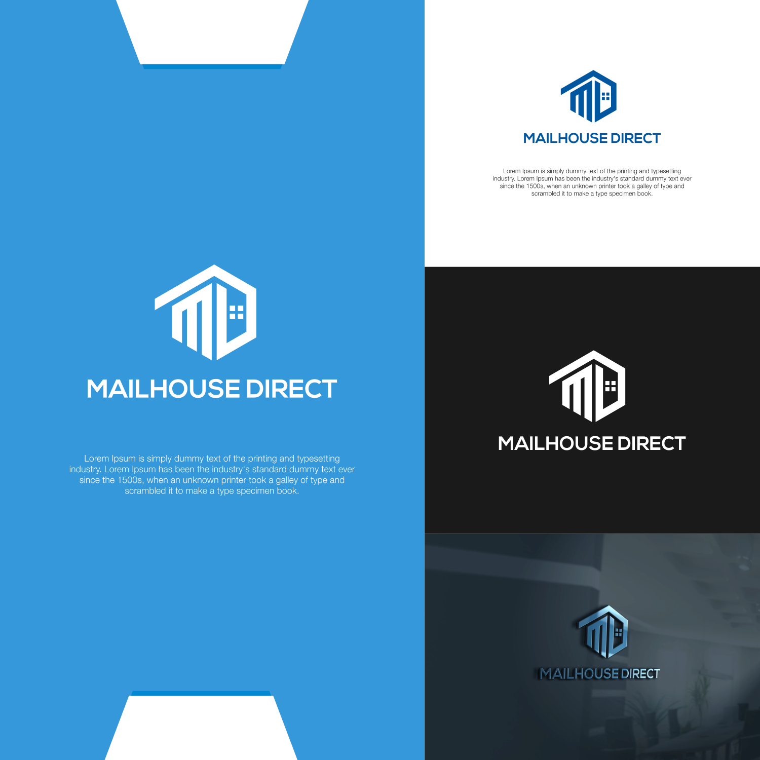 Logo Design by art23 for Direct Information Systems | Design #20003701