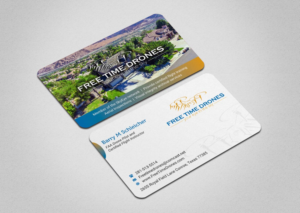 Business Card Design by INDIAN_Ashok for Free Time Drones | Design: #19475837