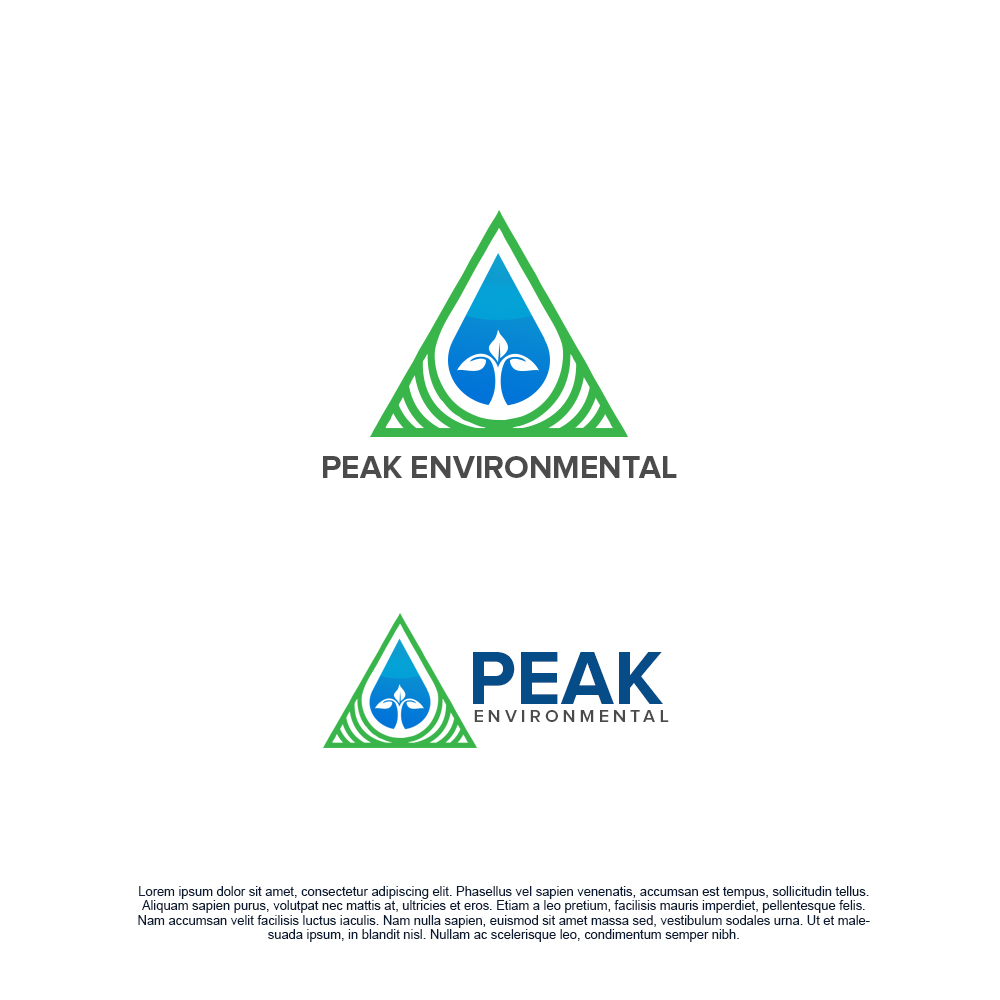 Diseño de Logo por pixelgrapix para este proyecto | Diseño #19481416