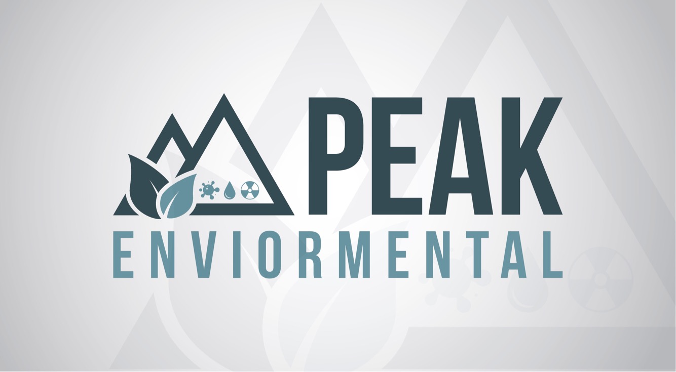 Diseño de Logo por DasTrystan para este proyecto | Diseño #19487750