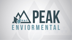 Logo Design by DasTrystan for this project | Design: #19487750