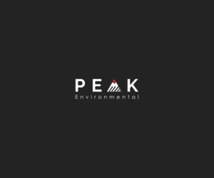 Logo Design by AceArt for this project | Design #19482467