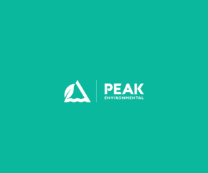 Logo Design by saulogchito for this project | Design: #19516968