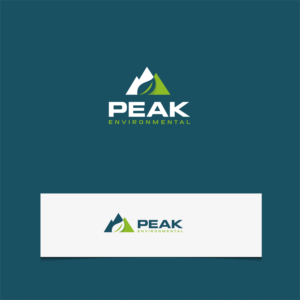 We are unsure if we want just Peak or Peak Environmental | Logo Design by CKS d e s i g n