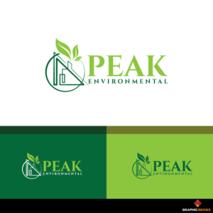 We are unsure if we want just Peak or Peak Environmental | Logo Design by Graphic Bricks