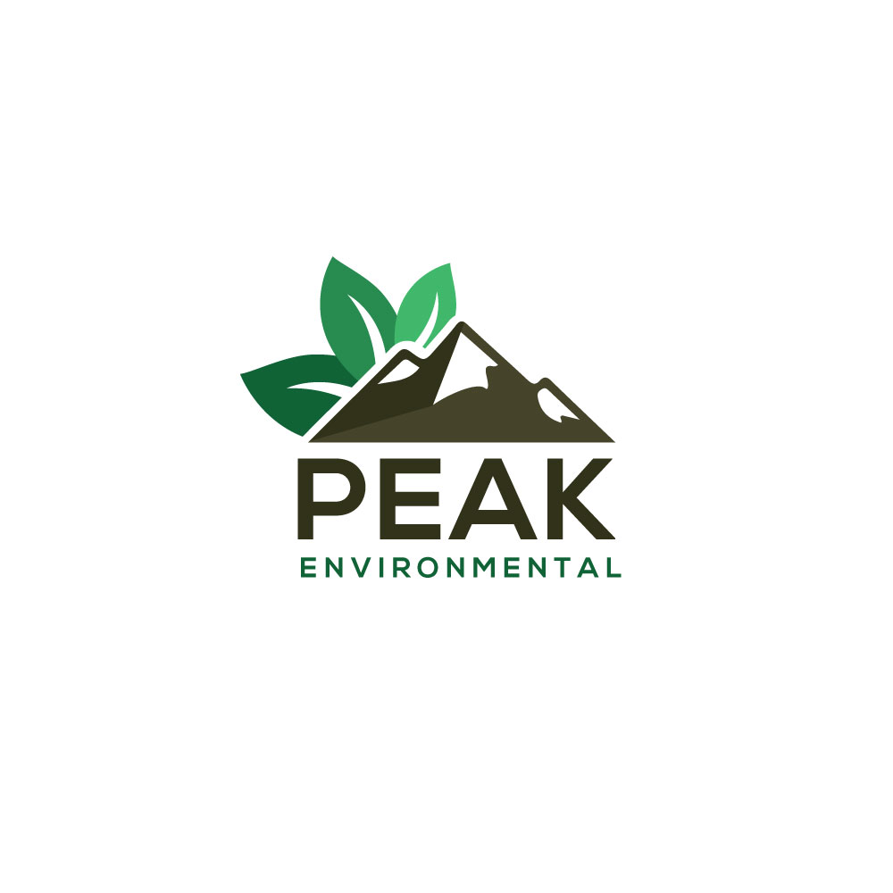 Logo Design by ecorokerz for this project | Design #19482465