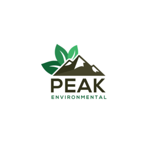 Logo Design by ecorokerz for this project | Design #19482465