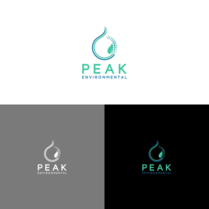 Logo Design by theJangAbayz for this project | Design #19486873