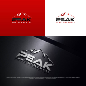Logo Design by saifysyed Studio