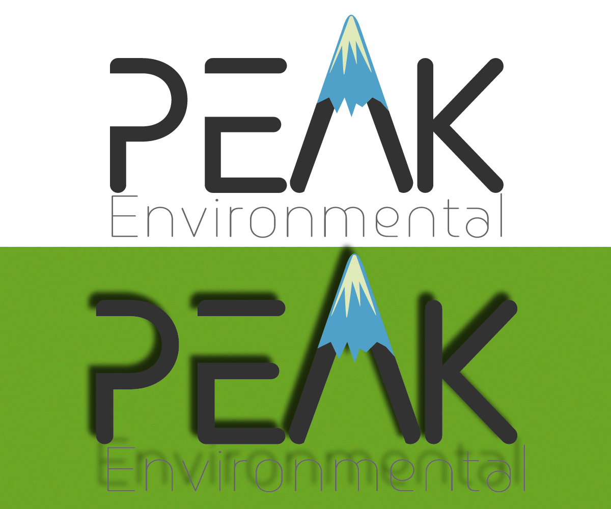 Logo Design by Mary Design for this project | Design #19495438