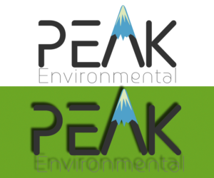 Logo Design by Mary Design for this project | Design: #19495438