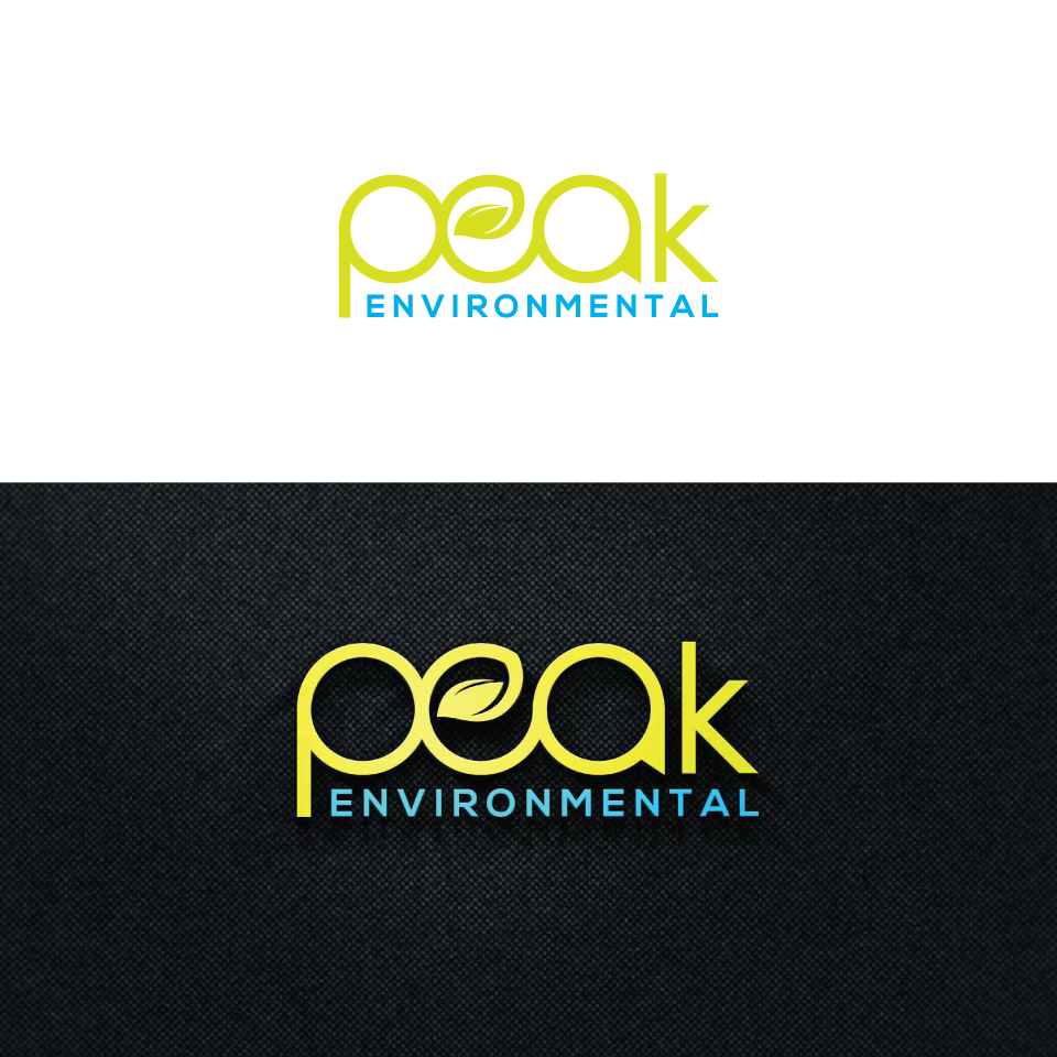 Logo Design by Shahadat 3 for this project | Design #19493065