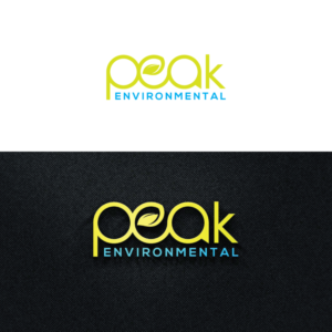 Logo Design by Shahadat 3 for this project | Design: #19493065