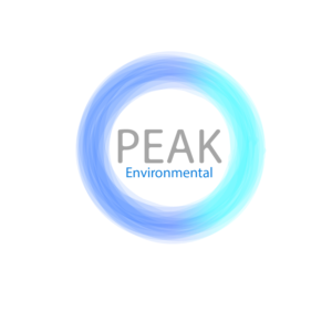 Logo Design by Daniel.Albino