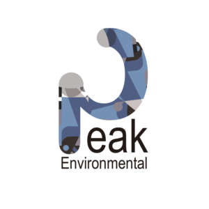 Logo Design by sofia amieva 2