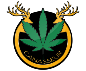 Diseño de Logo por emnicolgee para Cuz Fitness | Diseño: #20050158