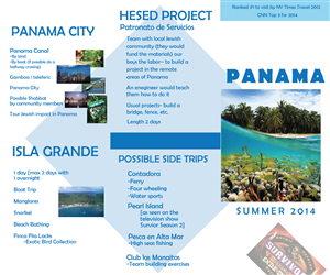 Brochure Design by Amy Dawson - Design