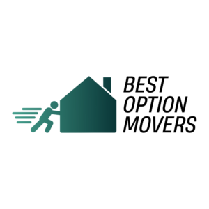 Logo Design by mguluzada for this project | Design: #19498528