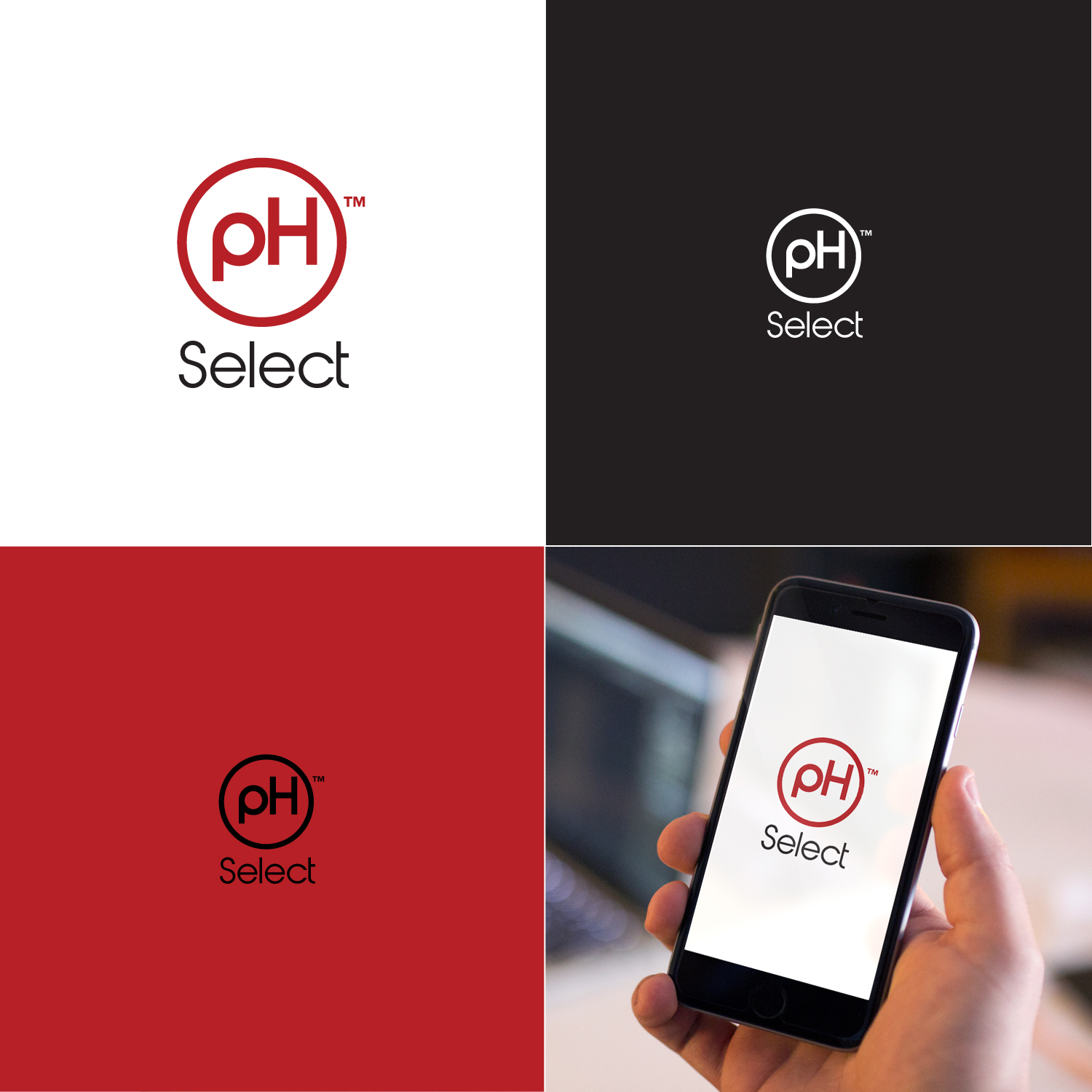 Logo Design by Maxo-Biz for this project | Design #19514548