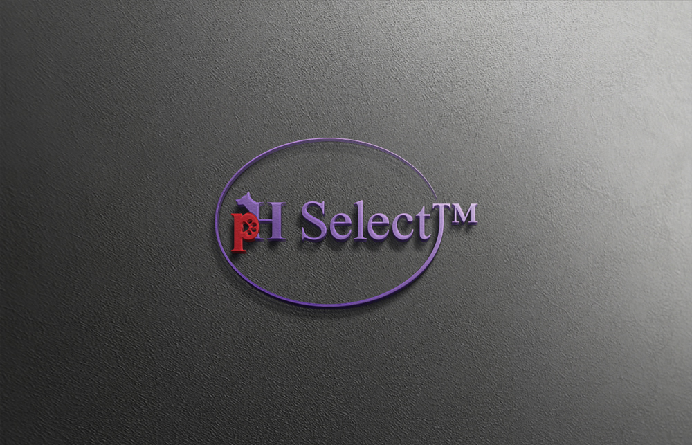 Logo Design by Himel khan 2 for this project | Design #19550216