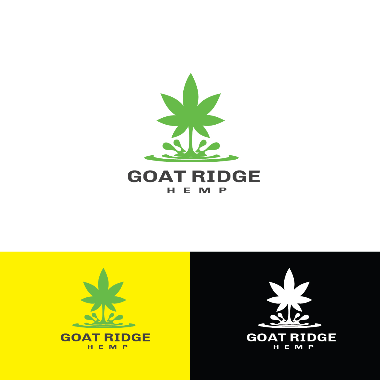 Logo Design by Creativezib for this project | Design #19509530