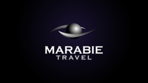 Logo Design by sinbad83