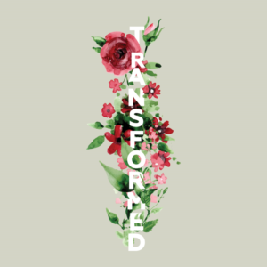 Transformed | Graphic Design by desainerd