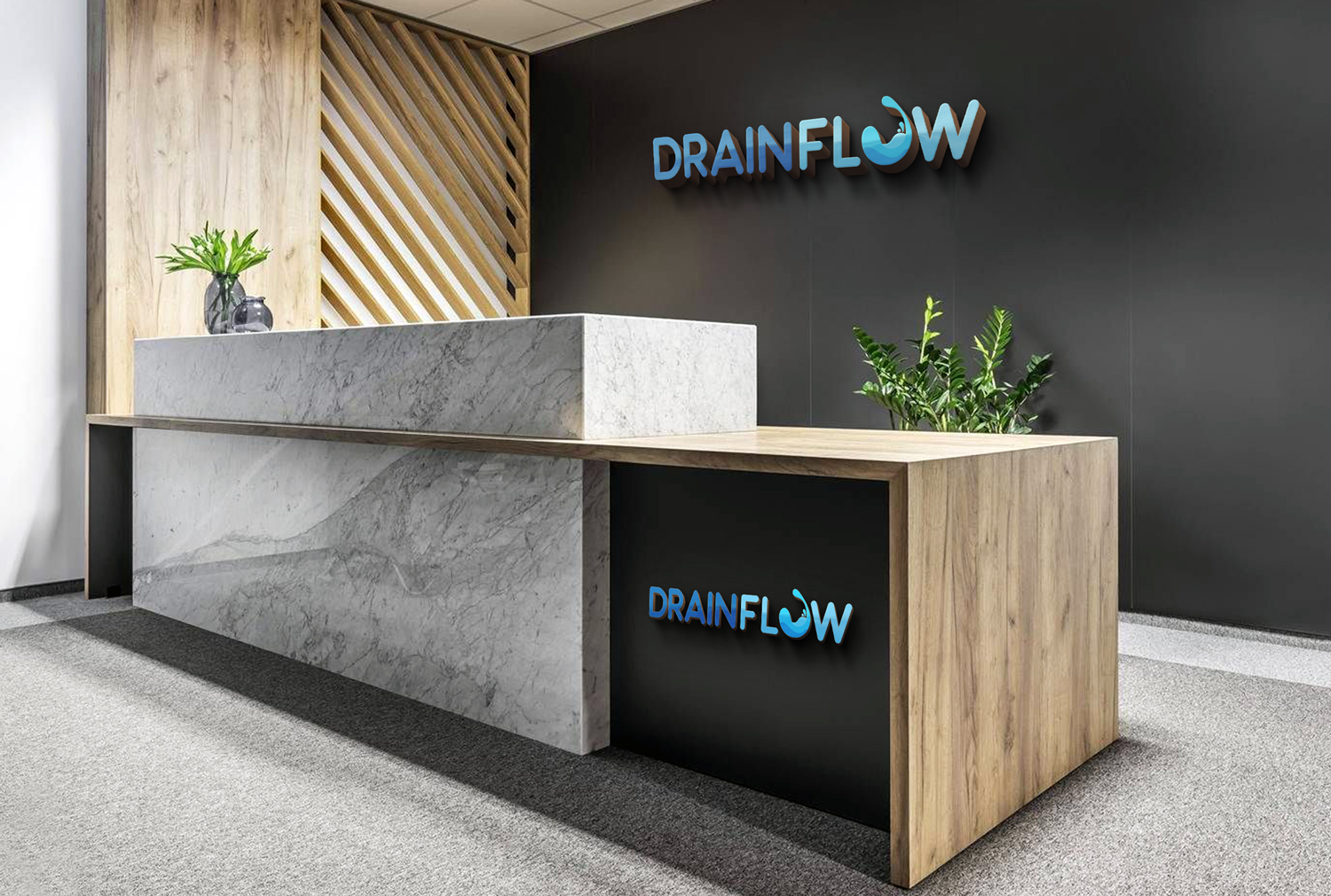 Logo Design by mani786 for Drainflow | Design #19517797