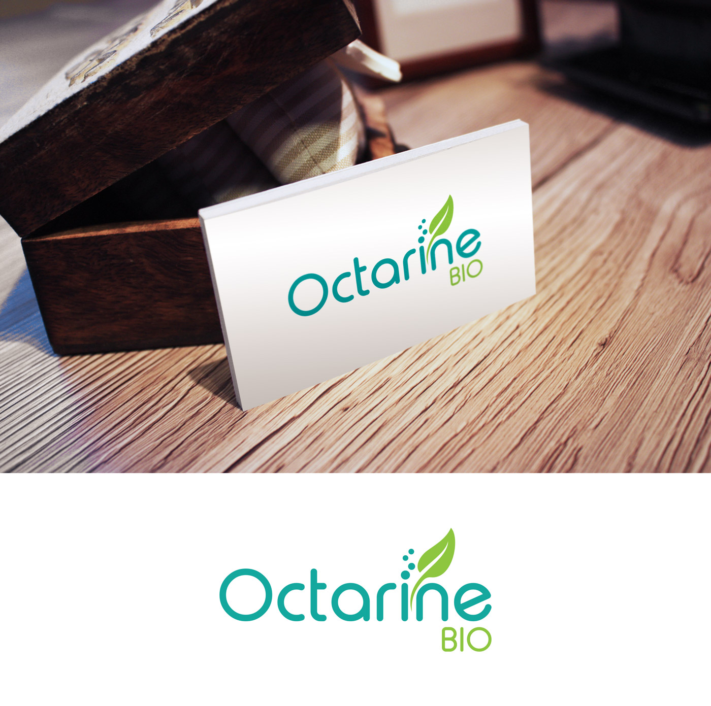 Logo Design by Impressive Solutions for this project | Design #19516794