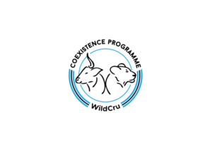 Logo Design by Sofia Pereira