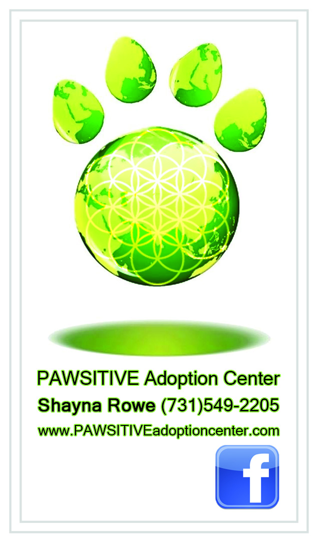 Business Card Design by Oleksiy for PAWSITIVE Adoption Center | Design #2905310