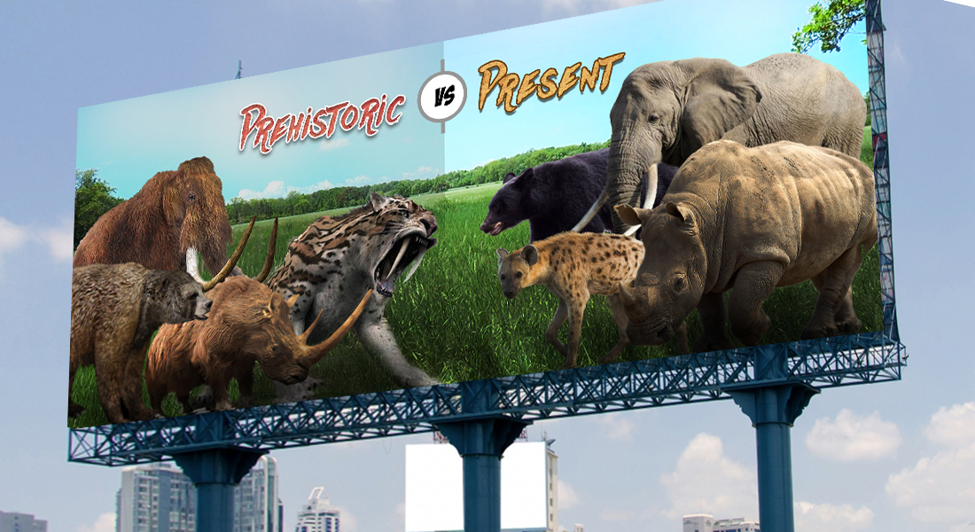 Graphic Design by Olufemi1on1 for AIkman Wildlife Adventure | Design: #19803515